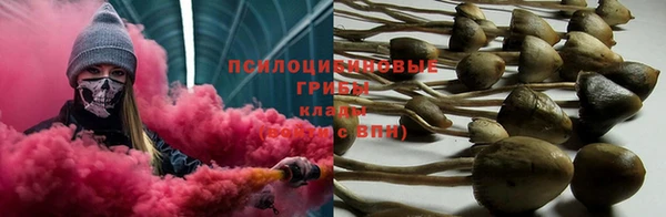 шишки Кинешма