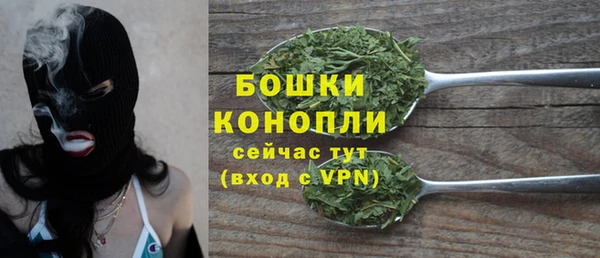 spice Козельск
