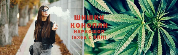 дживик Козловка