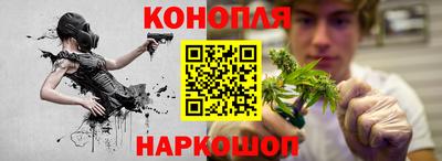 гашик Кунгур