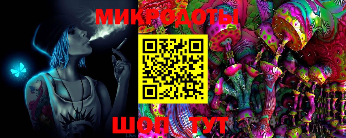 Галлюциногенные грибы Psilocybe Черкесск